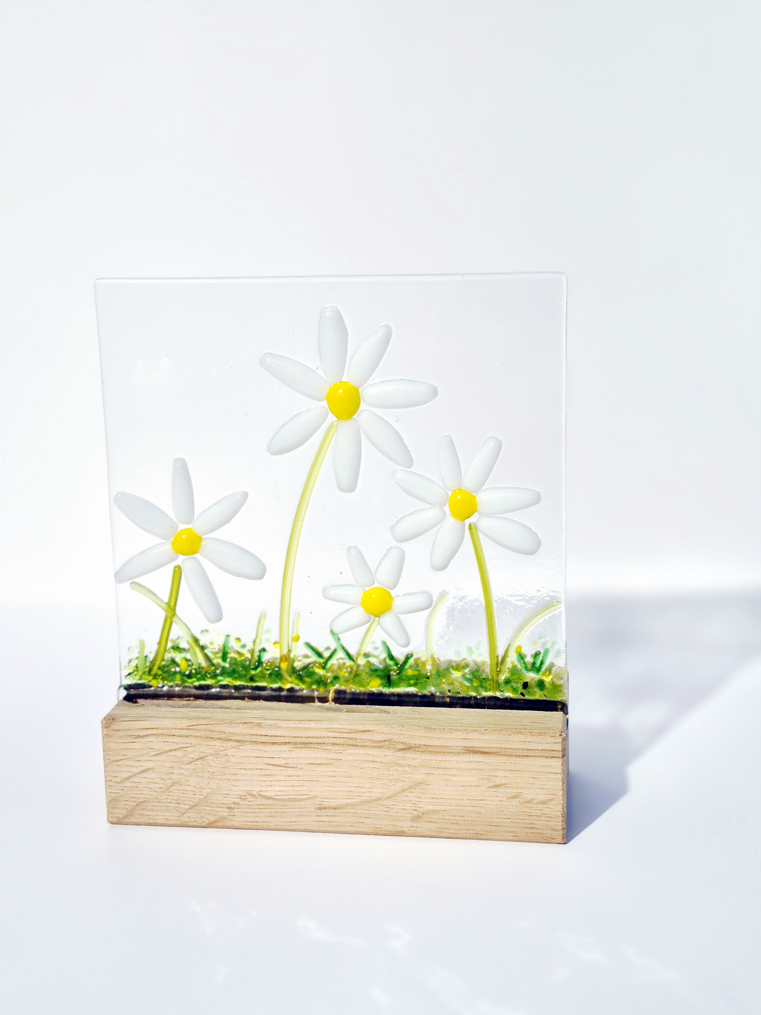 How Natural Light Brings Fused Glass Wall Art to Life Throughout the Day